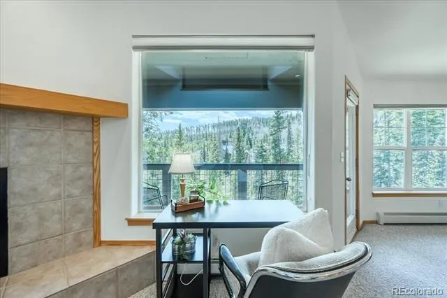 91399 Ryan Gulch Road #B6 Silverthorne, CO 80498