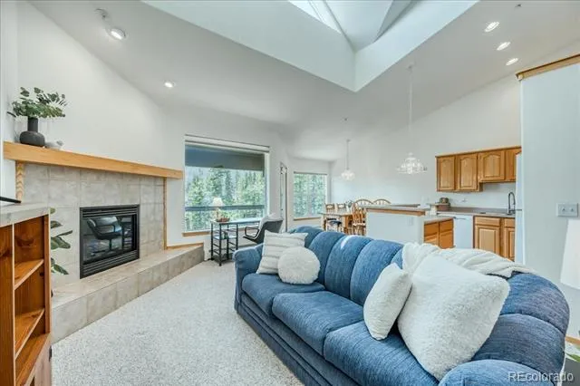91399 Ryan Gulch Road #B6 Silverthorne, CO 80498