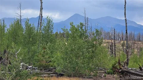Lot 1177 Bechtel Place