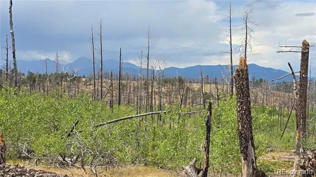 Lot 1177 Bechtel Place Fort Garland, CO 81133