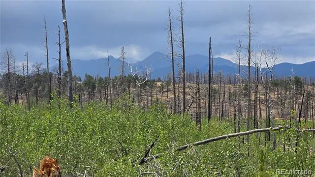 Lot 1177 Bechtel Place Fort Garland, CO 81133