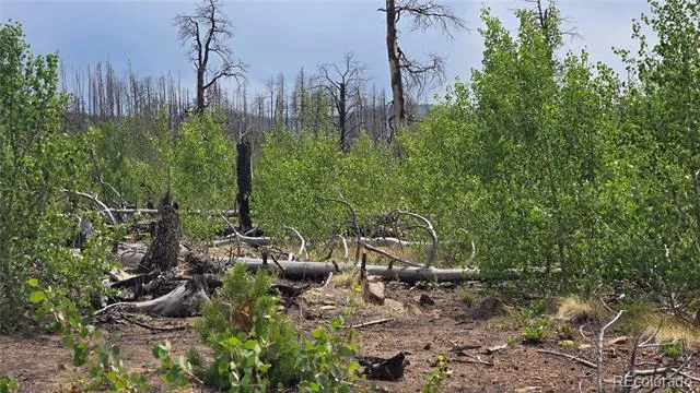 Lot 1177 Bechtel Place Fort Garland, CO 81133