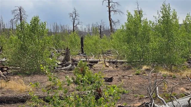Lot 1177 Bechtel Place Fort Garland, CO 81133