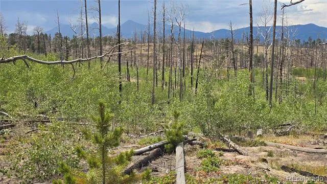 Lot 1177 Bechtel Place Fort Garland, CO 81133
