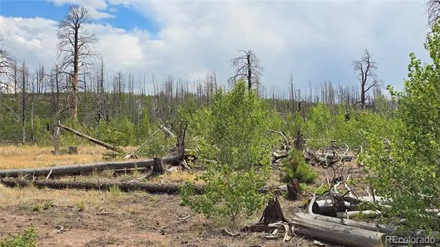 Lot 1177 Bechtel Place Fort Garland, CO 81133