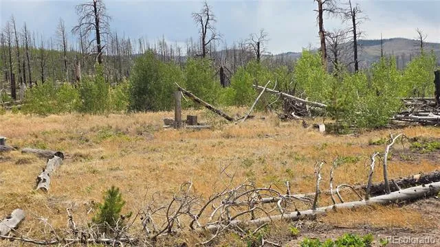 Lot 1177 Bechtel Place Fort Garland, CO 81133
