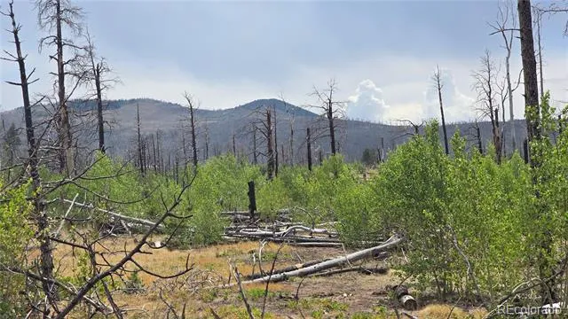 Lot 1177 Bechtel Place Fort Garland, CO 81133