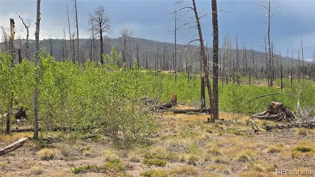 Lot 1177 Bechtel Place Fort Garland, CO 81133
