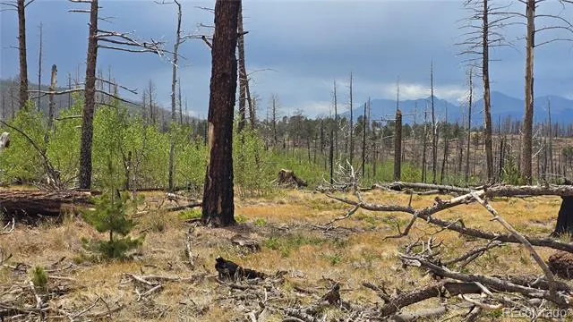 Lot 1177 Bechtel Place Fort Garland, CO 81133
