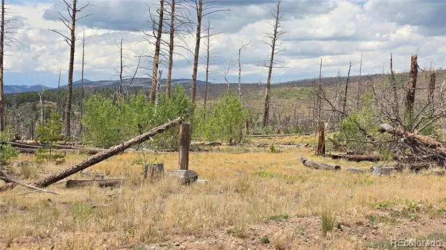Lot 1177 Bechtel Place Fort Garland, CO 81133