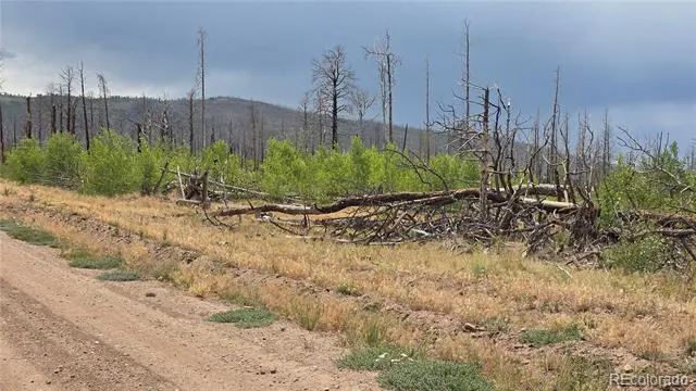 Lot 1177 Bechtel Place Fort Garland, CO 81133