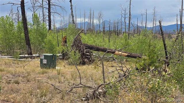 Lot 1177 Bechtel Place Fort Garland, CO 81133