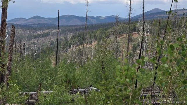 Lot 1177 Bechtel Place Fort Garland, CO 81133