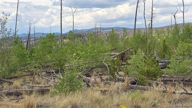 Lot 1177 Bechtel Place Fort Garland, CO 81133
