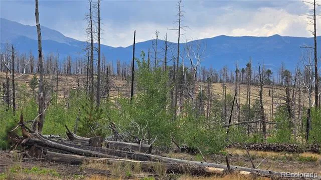 Lot 1177 Bechtel Place Fort Garland, CO 81133