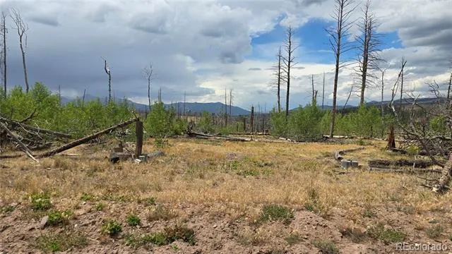 Lot 1177 Bechtel Place Fort Garland, CO 81133