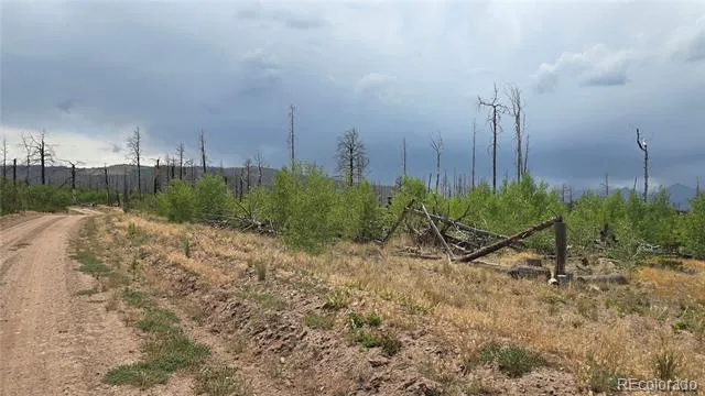 Lot 1177 Bechtel Place Fort Garland, CO 81133