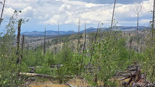 Lot 1177 Bechtel Place Fort Garland, CO 81133