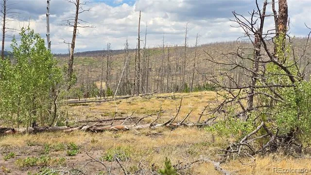 Lot 1177 Bechtel Place Fort Garland, CO 81133