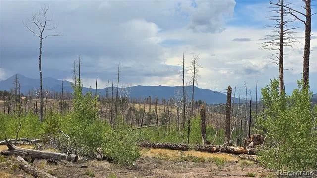 Lot 1177 Bechtel Place Fort Garland, CO 81133