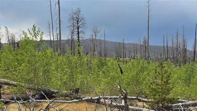 Lot 1177 Bechtel Place Fort Garland, CO 81133