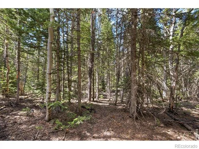 1199 Brainard Lake Road Ward, CO 80481
