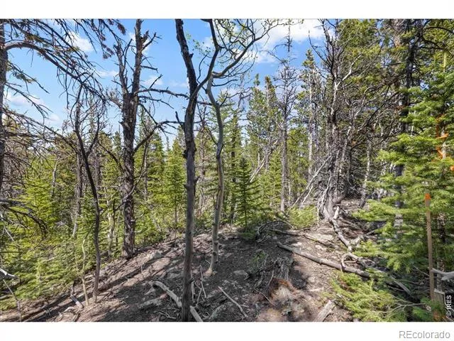 1199 Brainard Lake Road Ward, CO 80481