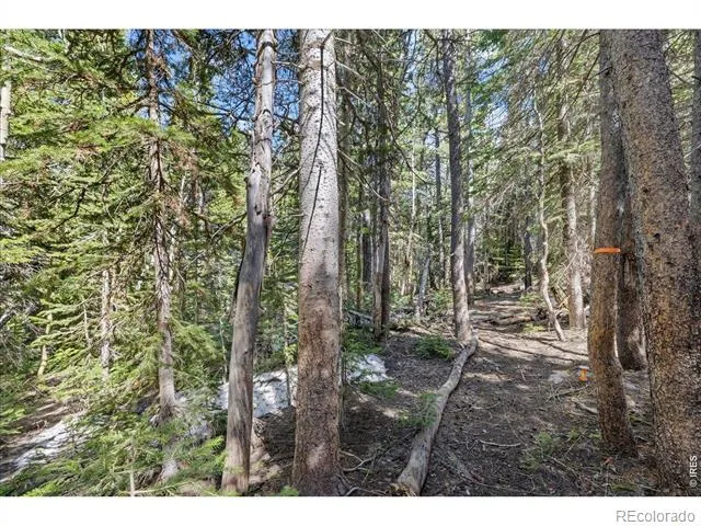1199 Brainard Lake Road Ward, CO 80481