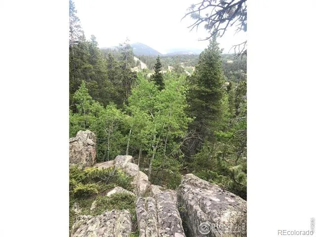 1199 Brainard Lake Road Ward, CO 80481