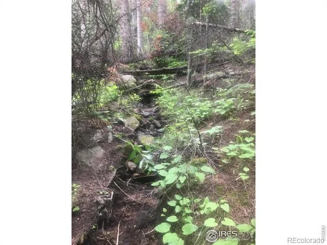 1199 Brainard Lake Road Ward, CO 80481