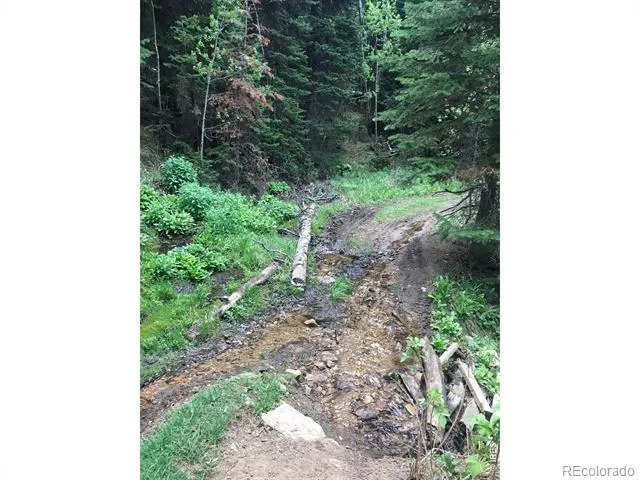 1199 Brainard Lake Road Ward, CO 80481