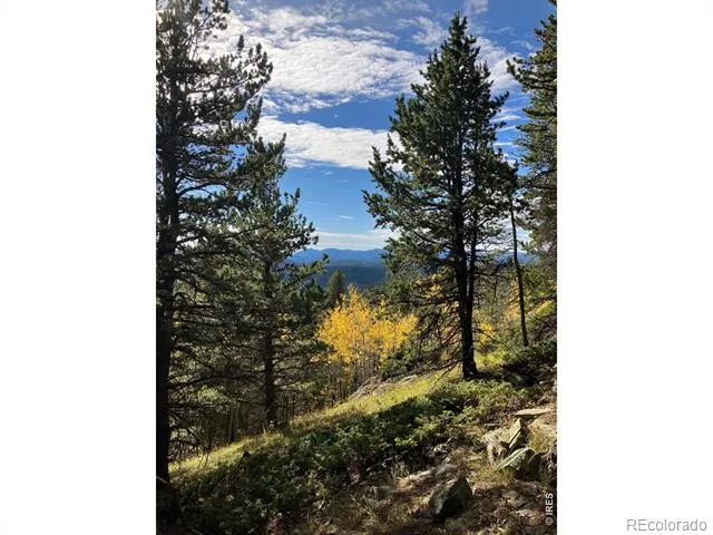 1199 Brainard Lake Road Ward, CO 80481