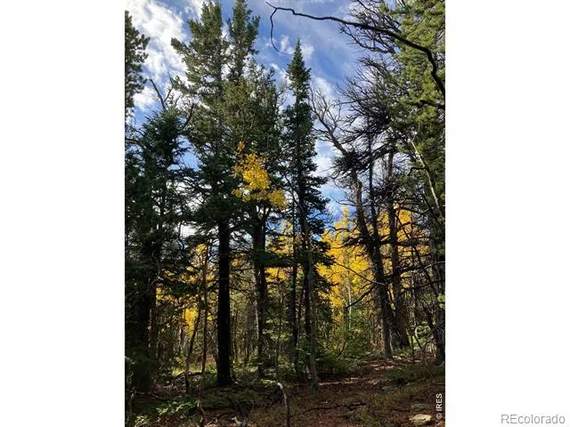 1199 Brainard Lake Road Ward, CO 80481