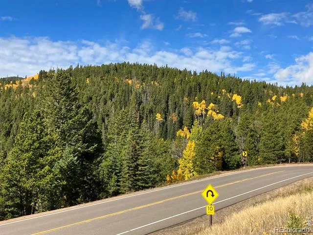 1199 Brainard Lake Road Ward, CO 80481