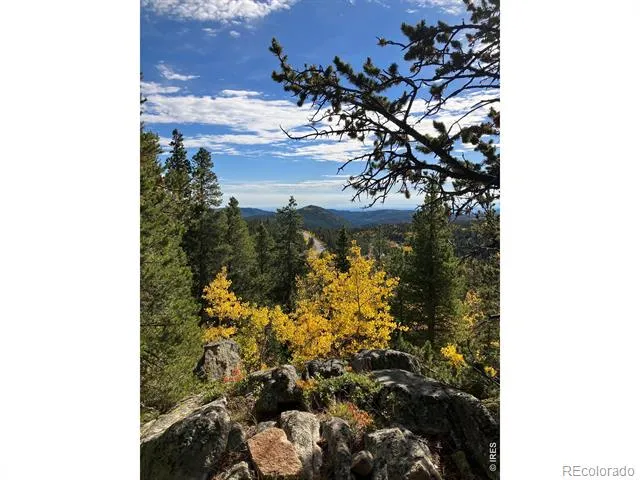 1199 Brainard Lake Road Ward, CO 80481