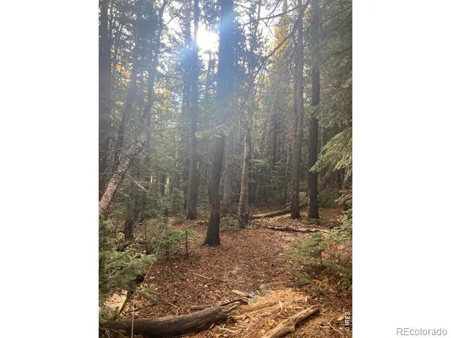 1199 Brainard Lake Road Ward, CO 80481
