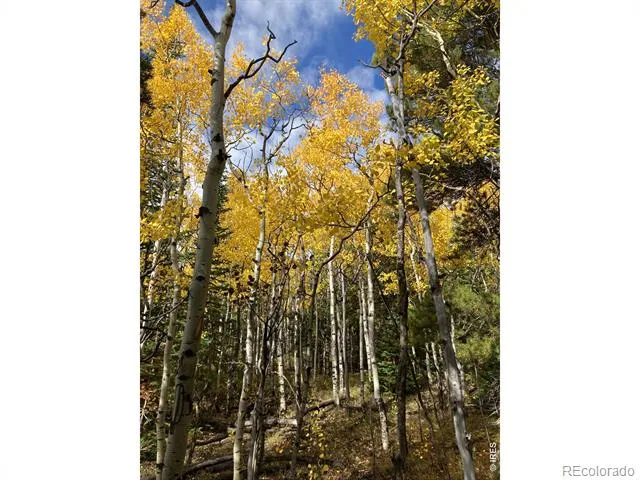 1199 Brainard Lake Road Ward, CO 80481