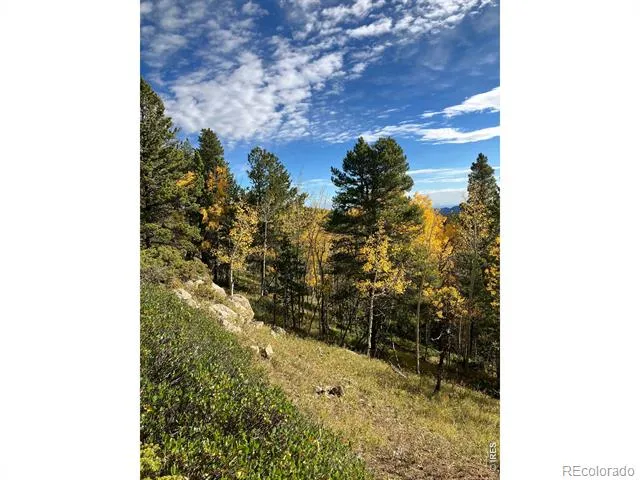 1199 Brainard Lake Road Ward, CO 80481