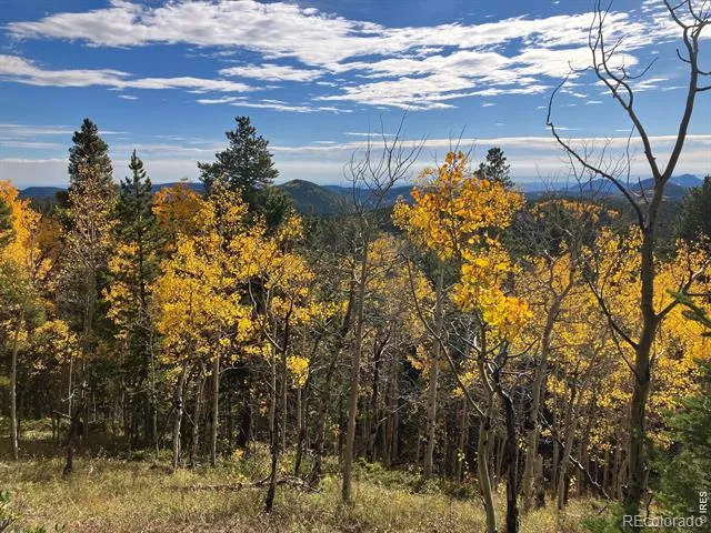1199 Brainard Lake Road Ward, CO 80481