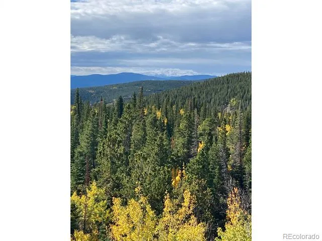 1199 Brainard Lake Road Ward, CO 80481