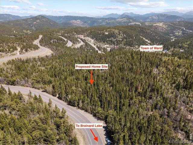 1199 Brainard Lake Road Ward, CO 80481