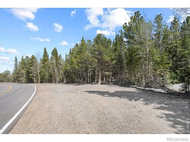 1199 Brainard Lake Road Ward, CO 80481