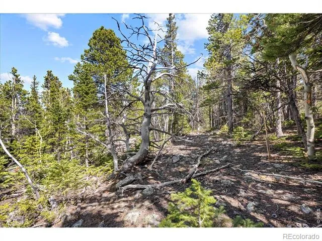 1199 Brainard Lake Road Ward, CO 80481