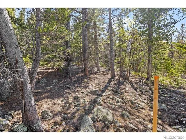 1199 Brainard Lake Road Ward, CO 80481