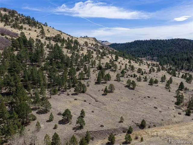 314 S Antelope Trail Cotopaxi, CO 81223