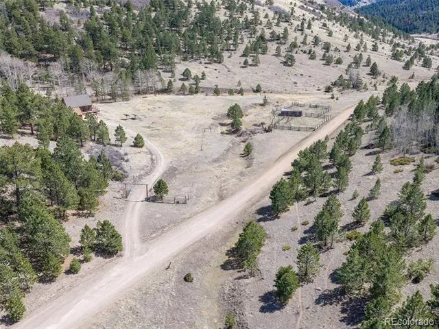314 S Antelope Trail Cotopaxi, CO 81223