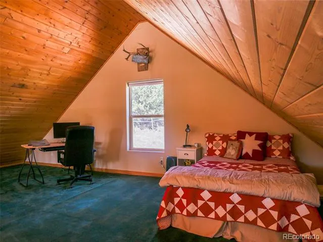 314 S Antelope Trail Cotopaxi, CO 81223