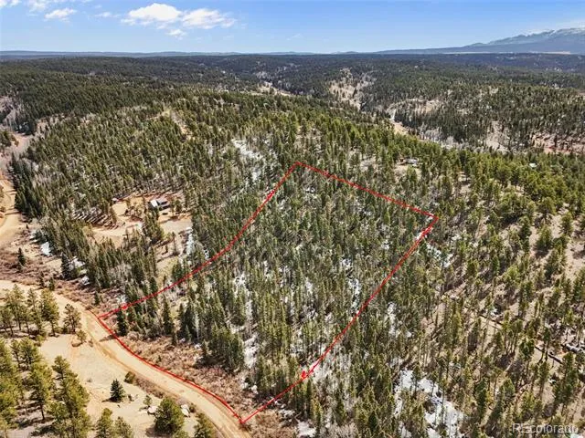 464 E Bison Creek Trail Florissant, CO 80816