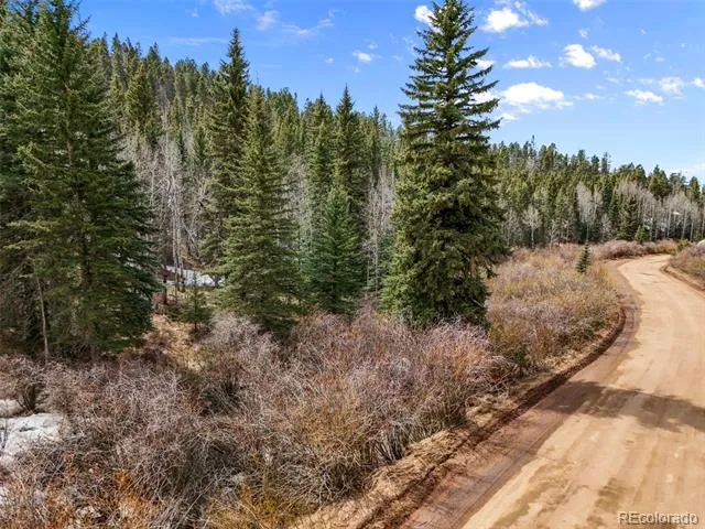 464 E Bison Creek Trail Florissant, CO 80816