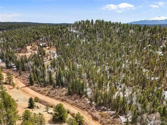 464 E Bison Creek Trail Florissant, CO 80816